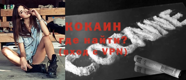 прущие грибы Балахна