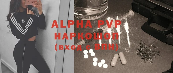 индика Баксан