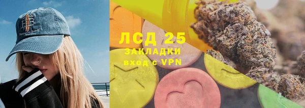 прущие грибы Балахна