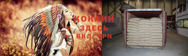 прущие грибы Балахна