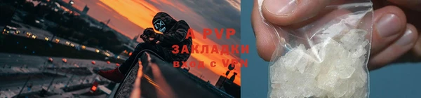индика Баксан