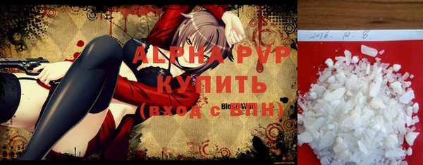 прущие грибы Балахна